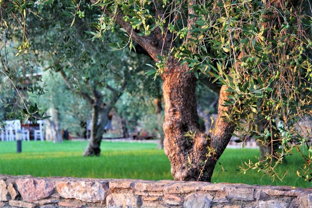 Liotrivi Historical Mansion And Boutique Hotel Monemvasía المظهر الخارجي الصورة